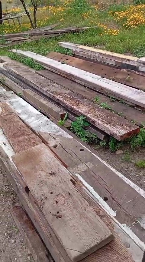 Tablones de roble de 150 años puestos a lo largo, antes de cepillar